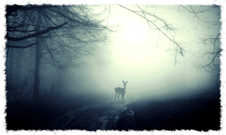 christmas_ghost_002_001